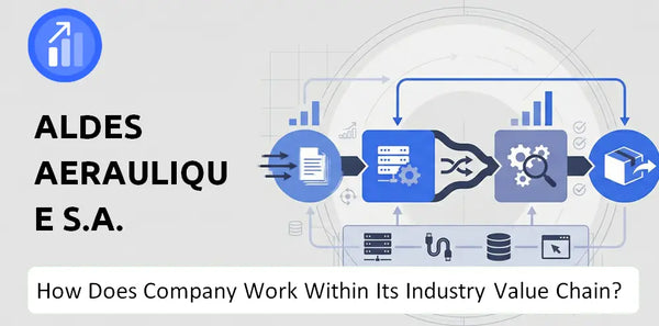 How Does Aldes Aeraulique S.A. Company Work and Support Its Brand Promise?