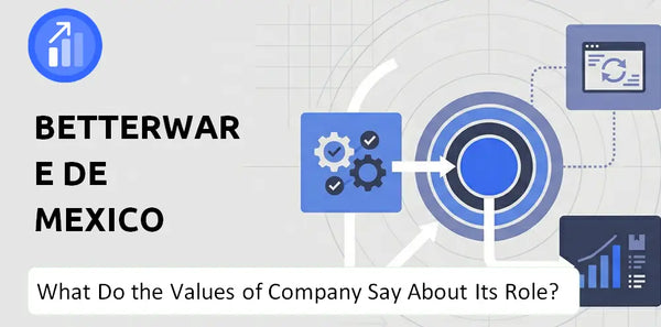 What Do the Mission, Vision, and Values of Betterware de Mexico Company Say About Its Brand Purpose?