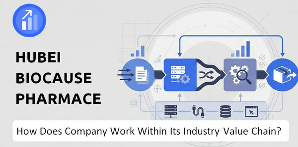 How Does Hubei Biocause Pharmaceutical Company Work and Support Its Brand Promise?