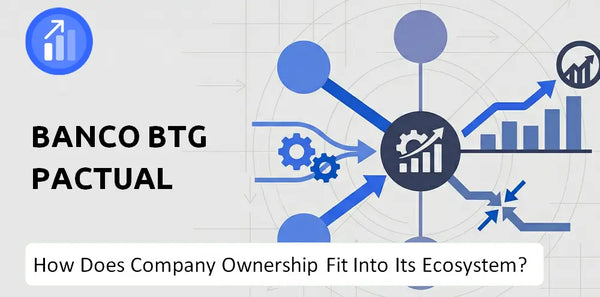 Who Owns Banco Btg Pactual Company and How Does Ownership Affect Trust in the Brand?