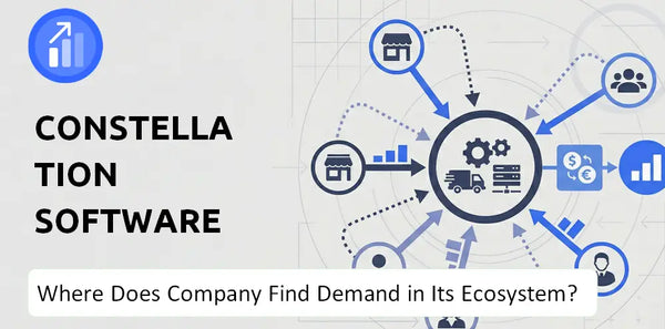 Who Connects Most Strongly With the Brand of Constellation Software Company?