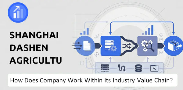 How Does Shanghai Dashen Agriculture Finance Technology Company Work and Support Its Brand Promise?