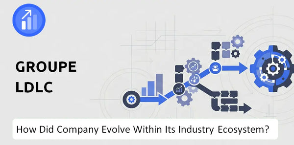 How Did Groupe LDLC Company Build the Brand It Has Today?