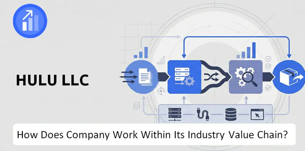 How Does Hulu LLC Company Work and Support Its Brand Promise?
