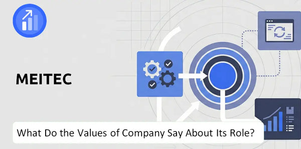 What Do the Mission, Vision, and Values of Meitec Company Say About Its Brand Purpose?