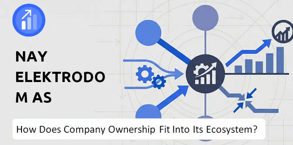 Who Owns Nay Elektrodom AS Company and How Does Ownership Affect Trust in the Brand?