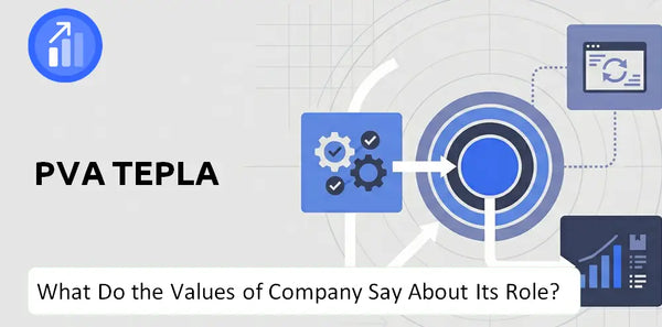 What Do the Mission, Vision, and Values of PVA TePla Company Say About Its Brand Purpose?
