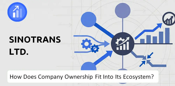 Who Owns Sinotrans Ltd. Company and How Does Ownership Affect Trust in the Brand?