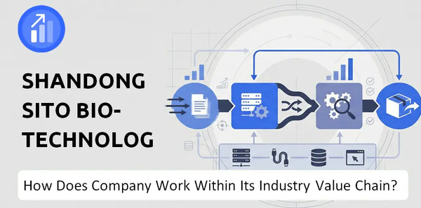 How Does Shandong Sito Bio-technology Company Work and Support Its Brand Promise?