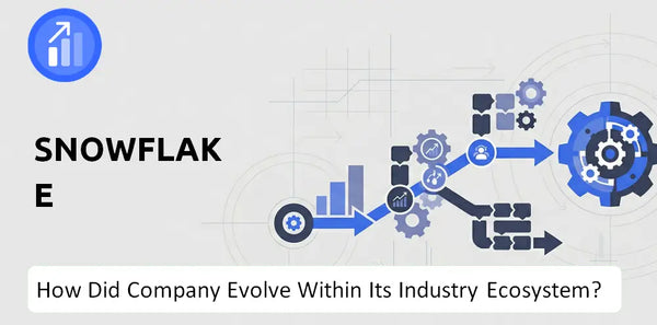 How Did Snowflake Company Build the Brand It Has Today?