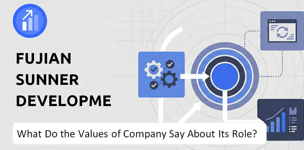 What Do the Mission, Vision, and Values of Fujian Sunner Development Company Say About Its Brand Purpose?