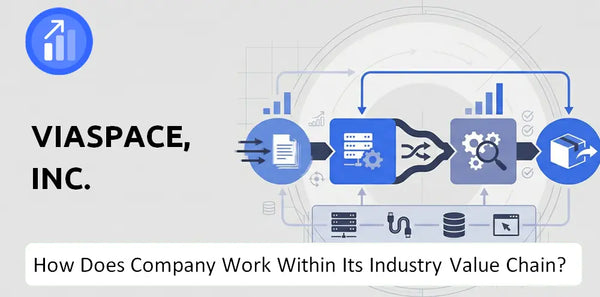 How Does VIASPACE, Inc. Company Work and Support Its Brand Promise?