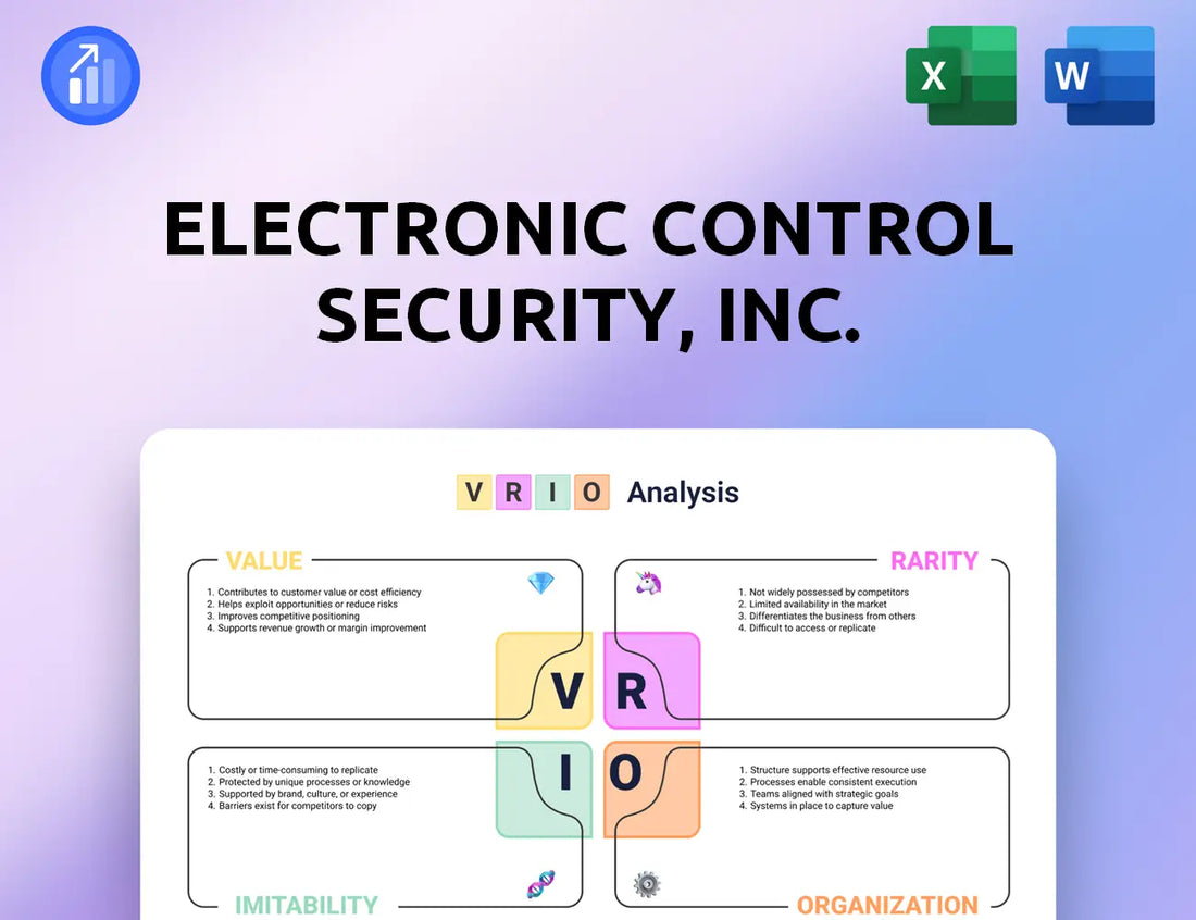 Electronic Control Security, Inc. VRIO Analysis