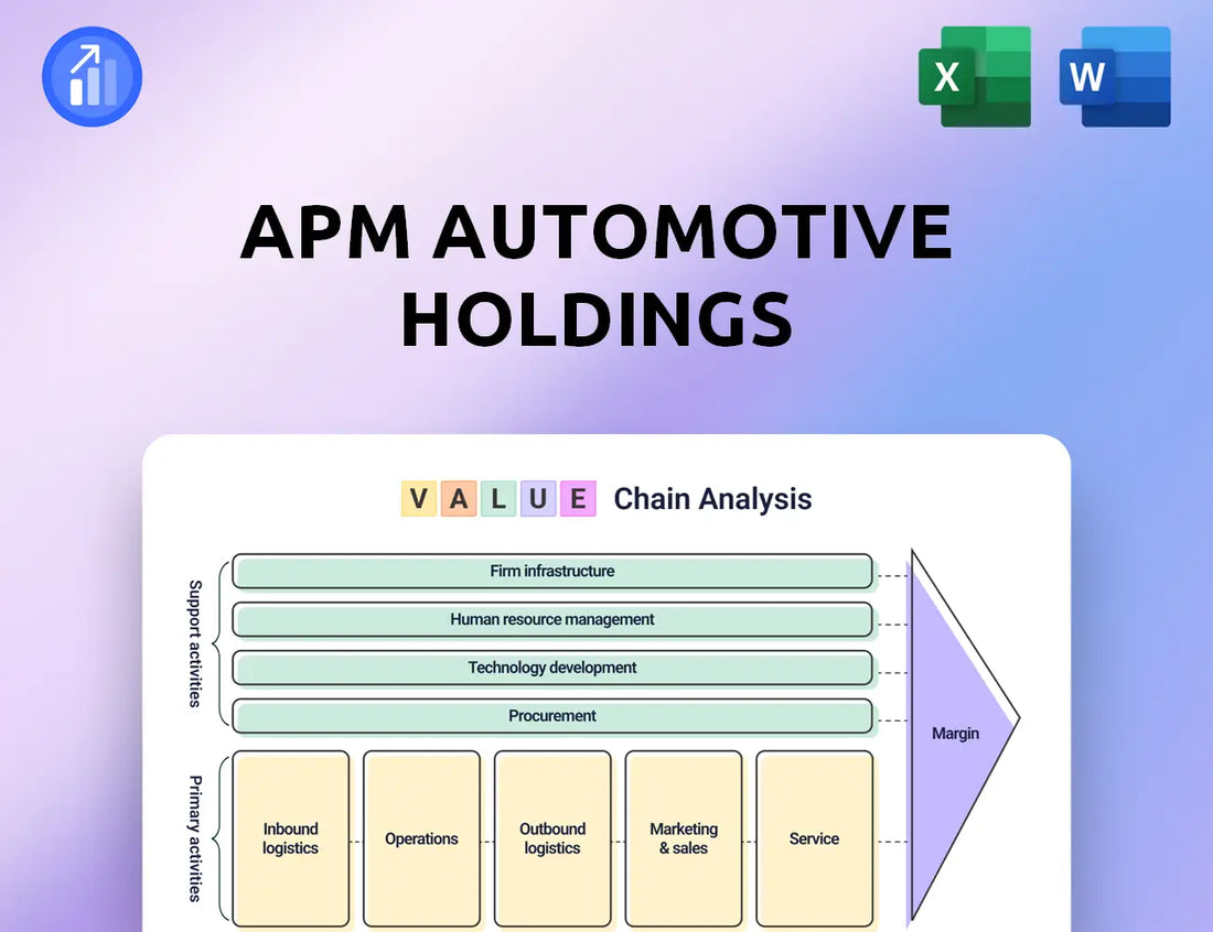 APM Automotive Holdings Value Chain Analysis