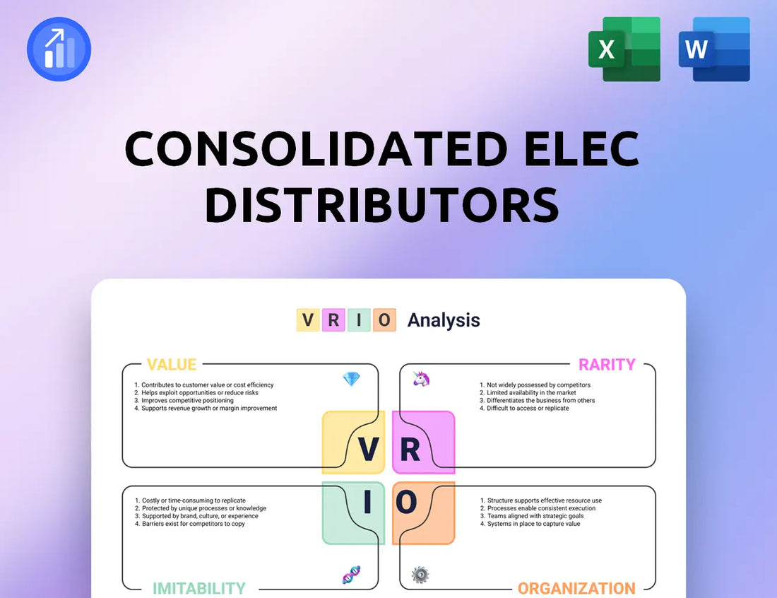 Consolidated Elec Distributors VRIO Analysis