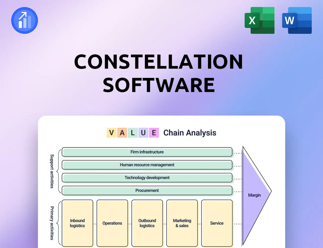 Constellation Software Value Chain Analysis