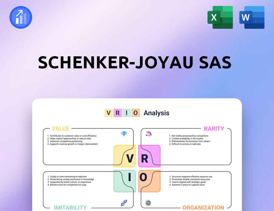 Schenker-Joyau SAS VRIO Analysis