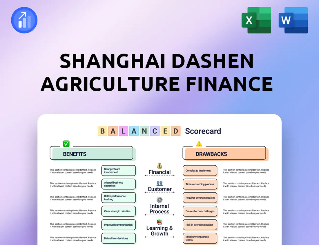 Shanghai Dashen Agriculture Finance Technology Balanced Scorecard