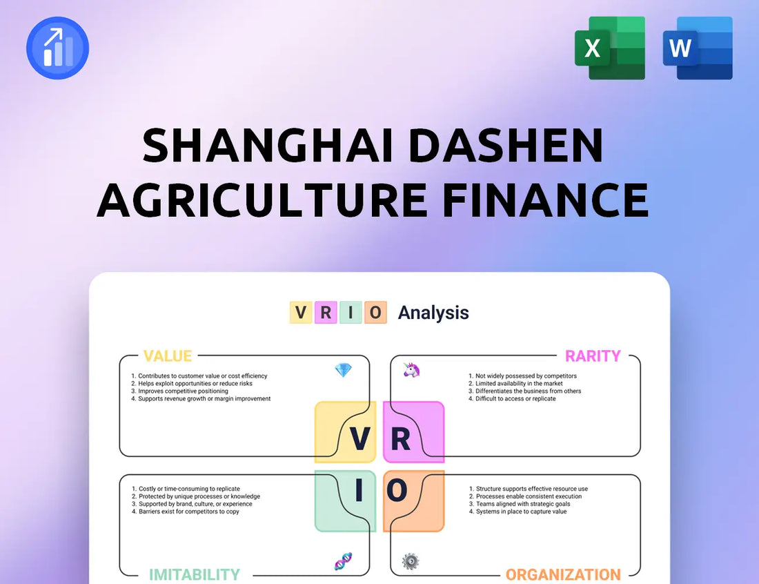 Shanghai Dashen Agriculture Finance Technology VRIO Analysis