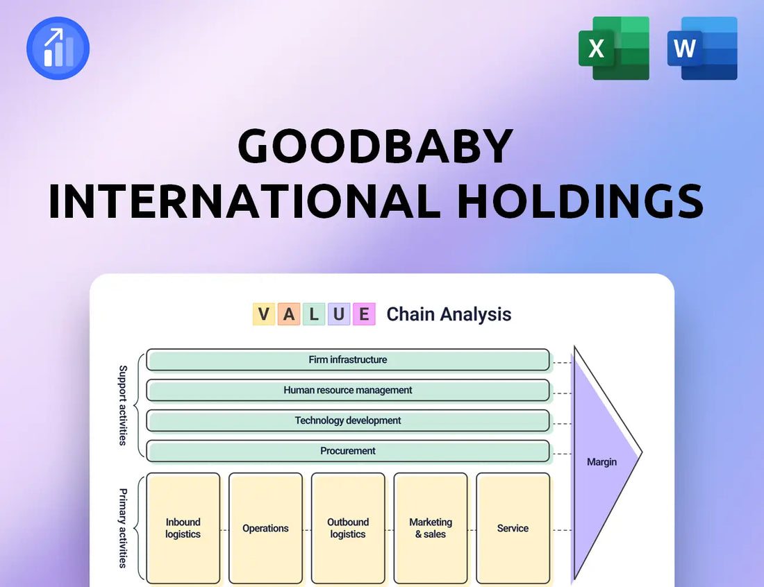 Goodbaby International Holdings Value Chain Analysis