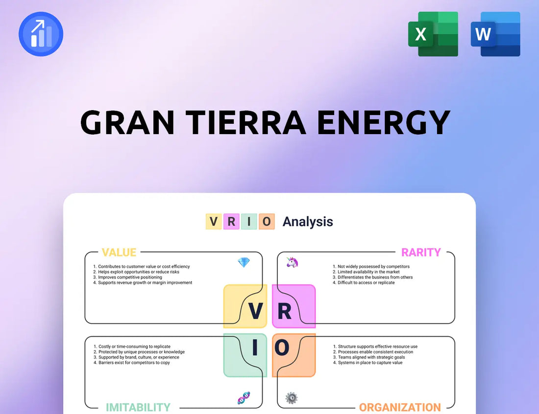 Gran Tierra Energy VRIO Analysis