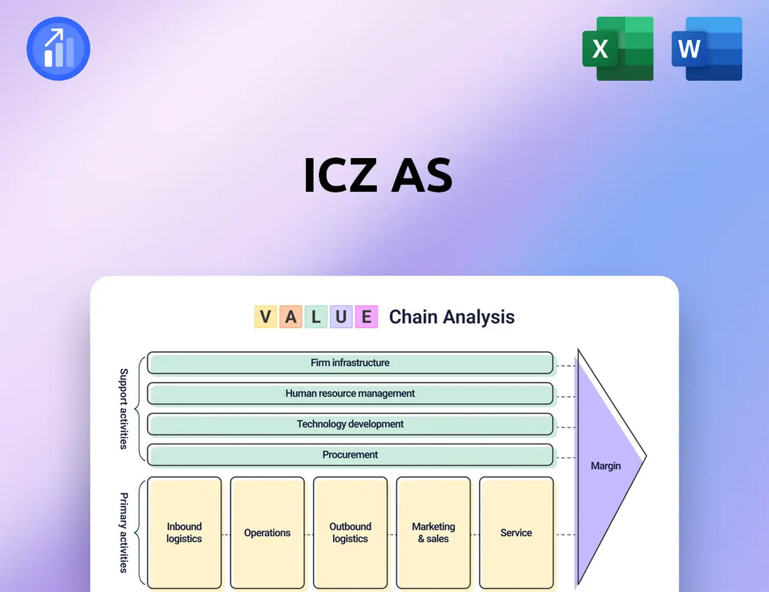 ICZ AS Value Chain Analysis
