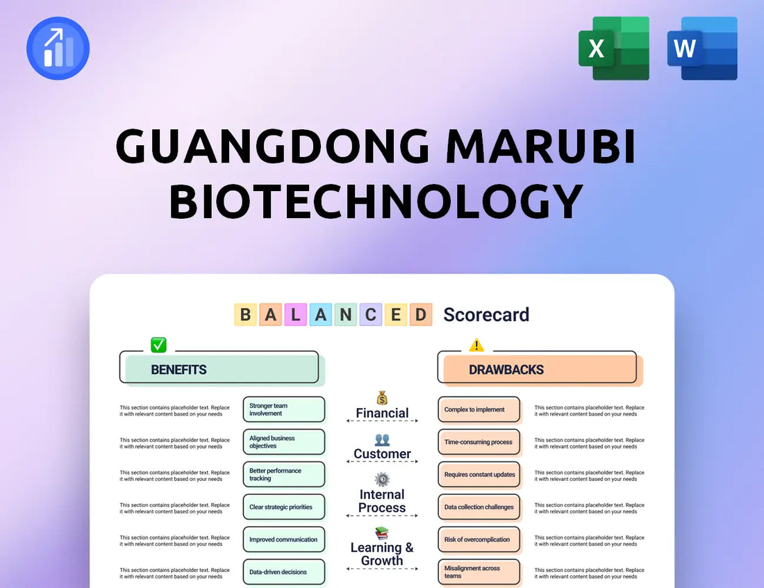 Guangdong Marubi Biotechnology Balanced Scorecard