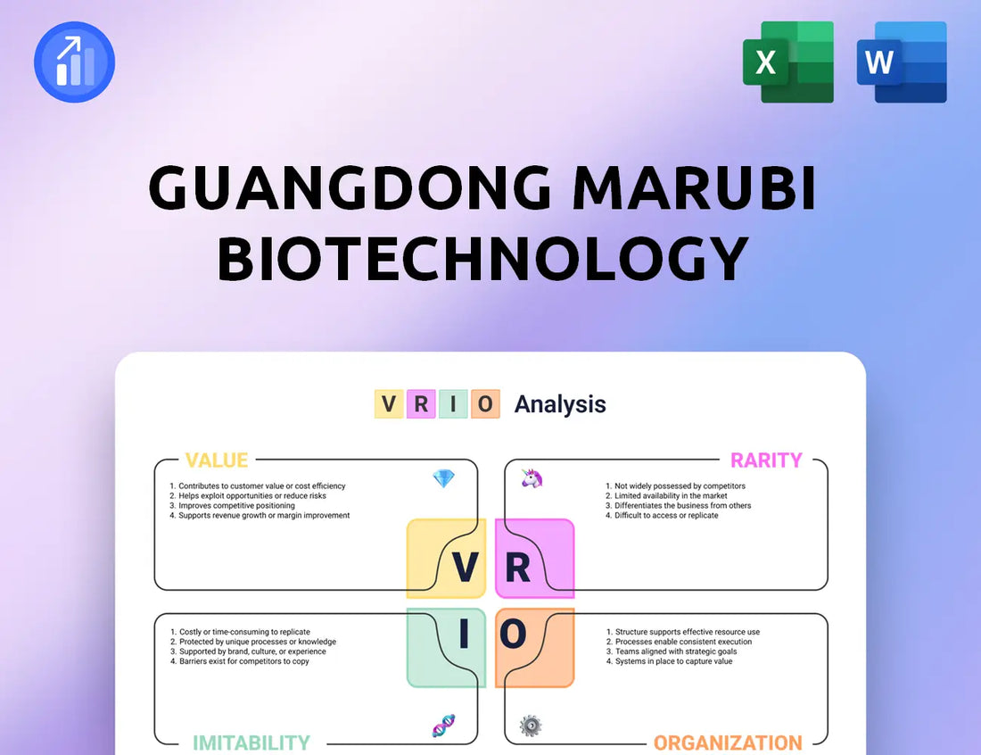 Guangdong Marubi Biotechnology VRIO Analysis