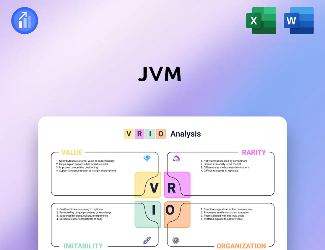 JVM VRIO Analysis