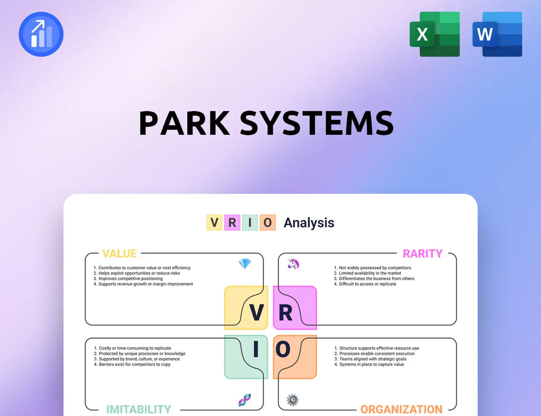 Park Systems VRIO Analysis