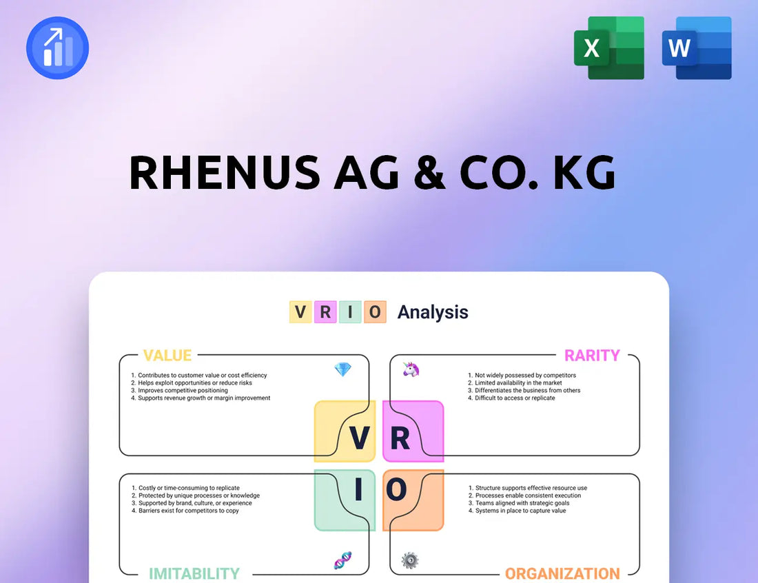 Rhenus AG & Co. KG VRIO Analysis