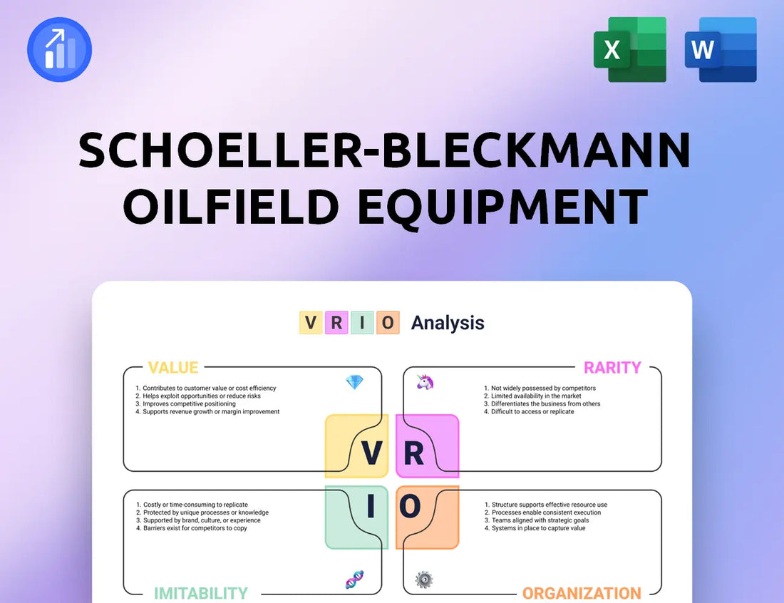 Schoeller-Bleckmann Oilfield Equipment VRIO Analysis
