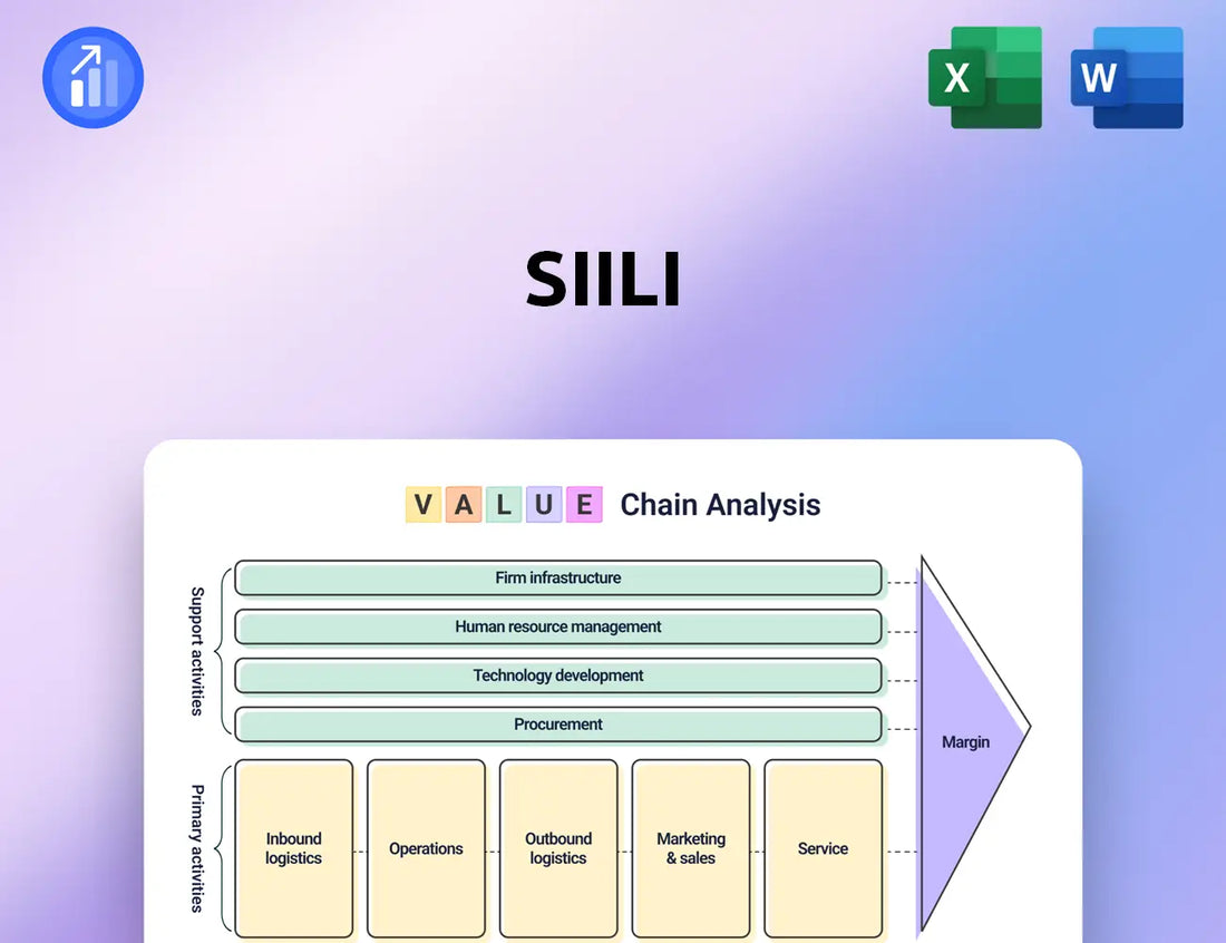 Siili Value Chain Analysis
