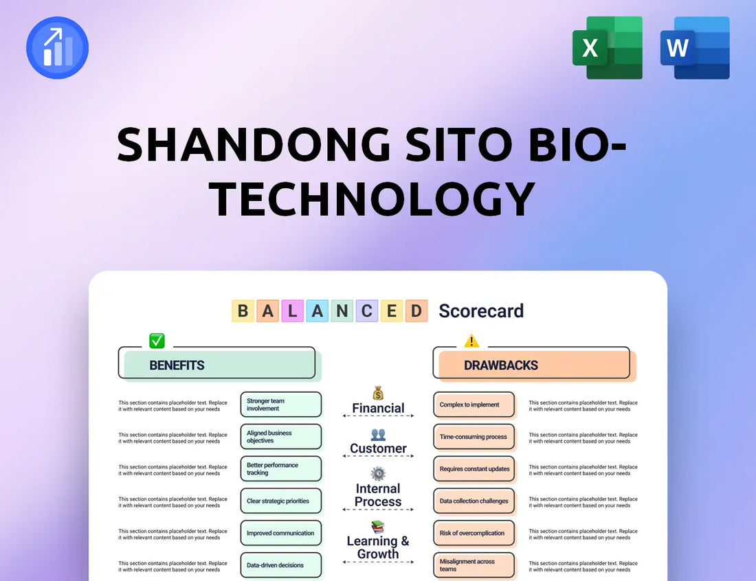 Shandong Sito Bio-technology Balanced Scorecard