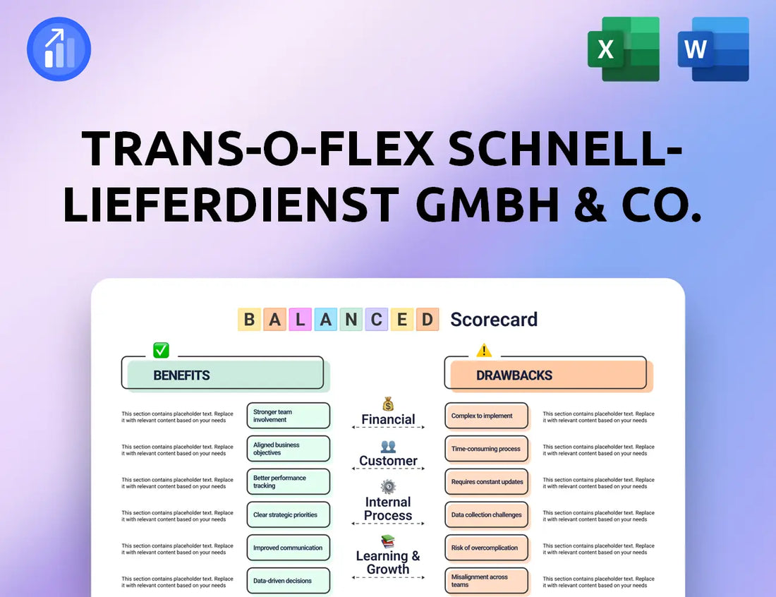trans-o-flex Schnell-Lieferdienst GmbH & Co. KG Balanced Scorecard
