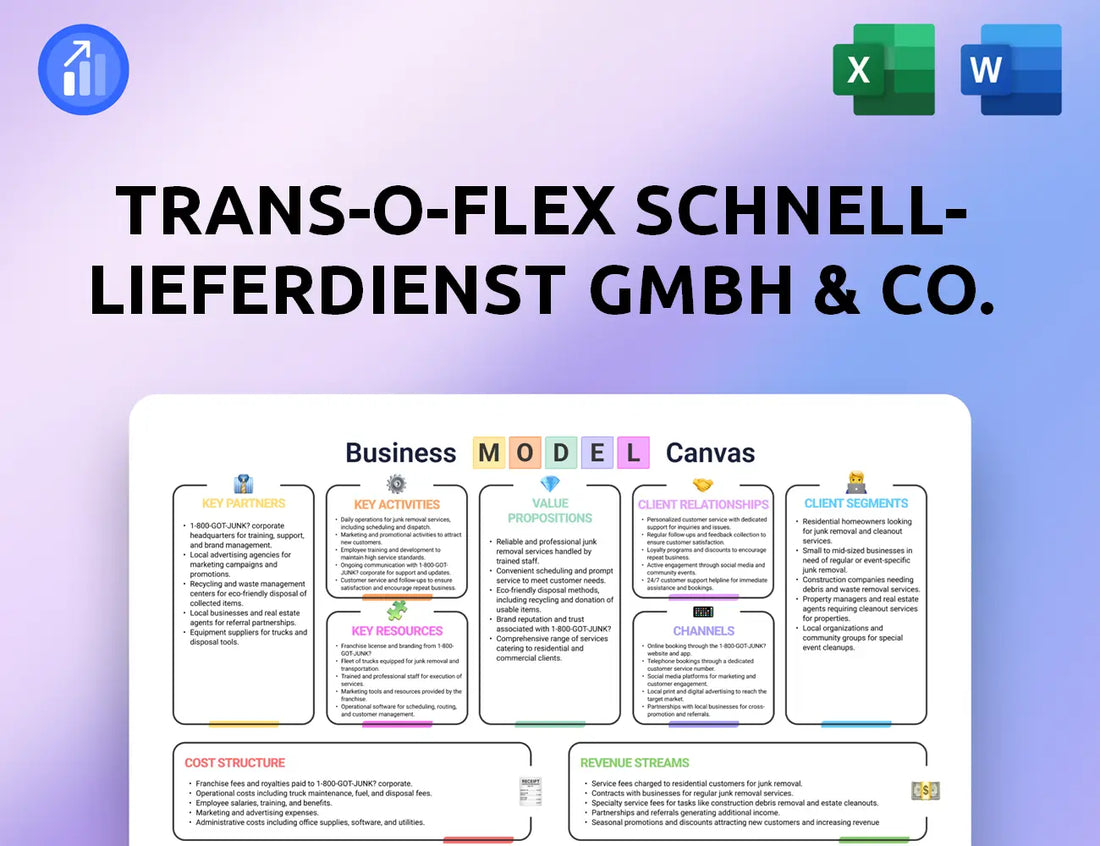 trans-o-flex Schnell-Lieferdienst GmbH & Co. KG Business Model Canvas