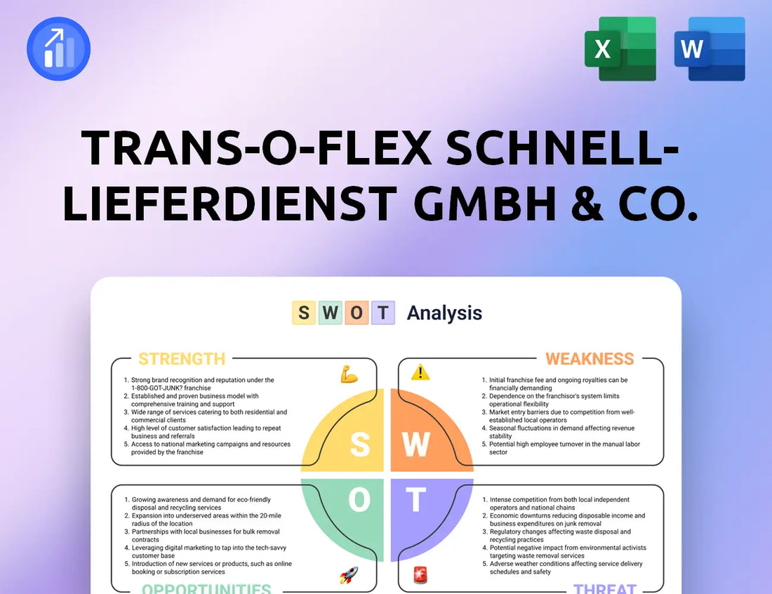 trans-o-flex Schnell-Lieferdienst GmbH & Co. KG SWOT Analysis