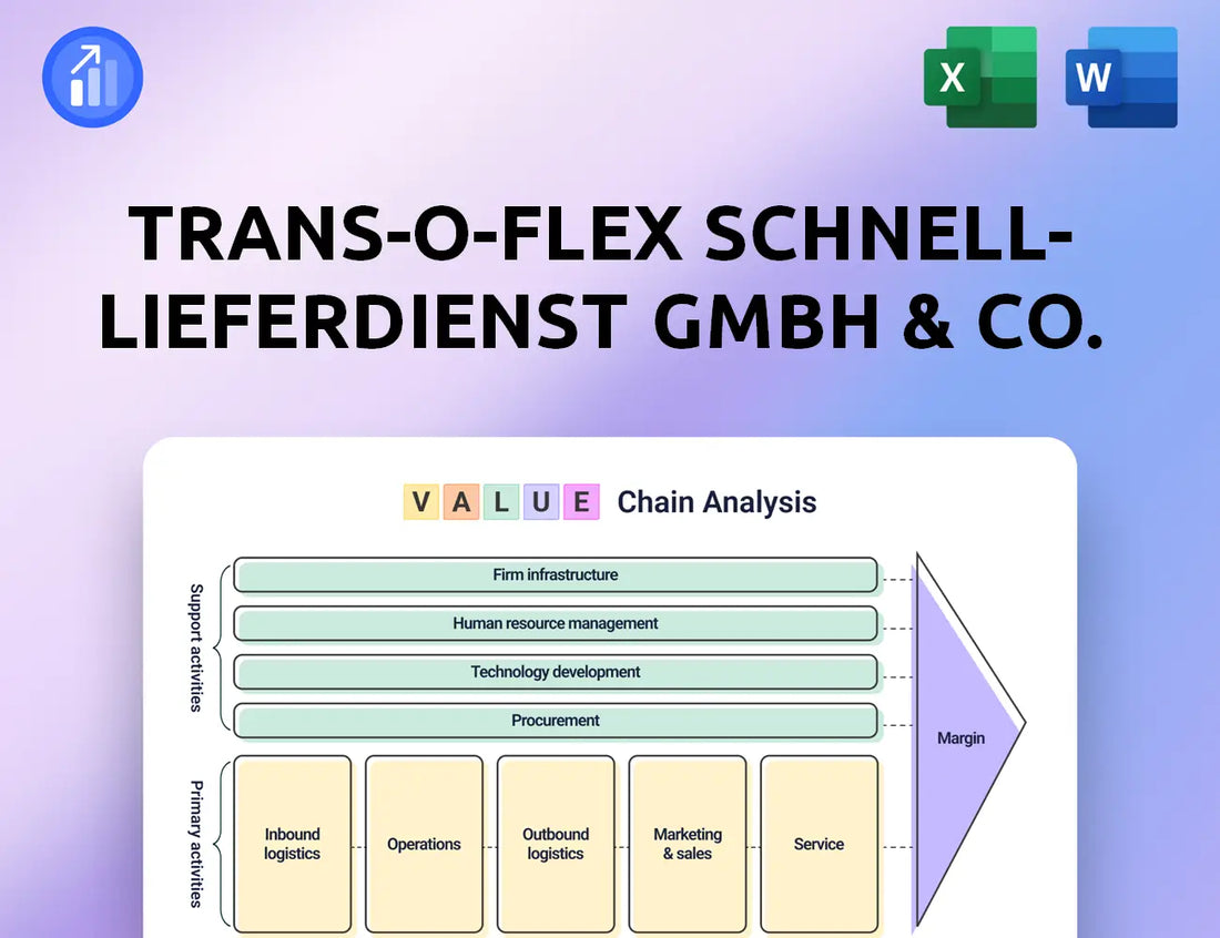 trans-o-flex Schnell-Lieferdienst GmbH & Co. KG Value Chain Analysis