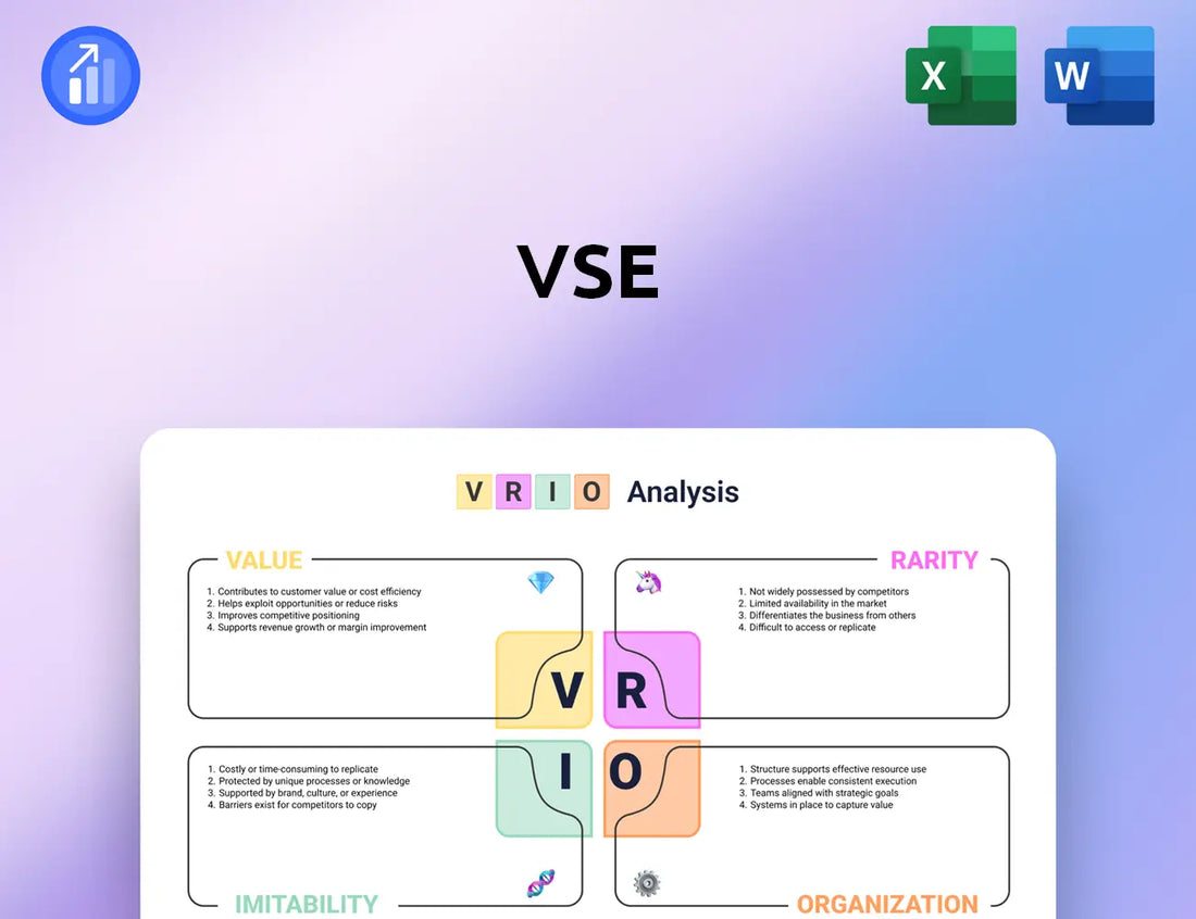 VSE VRIO Analysis
