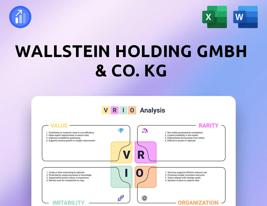 Wallstein Holding GmbH & Co. KG VRIO Analysis