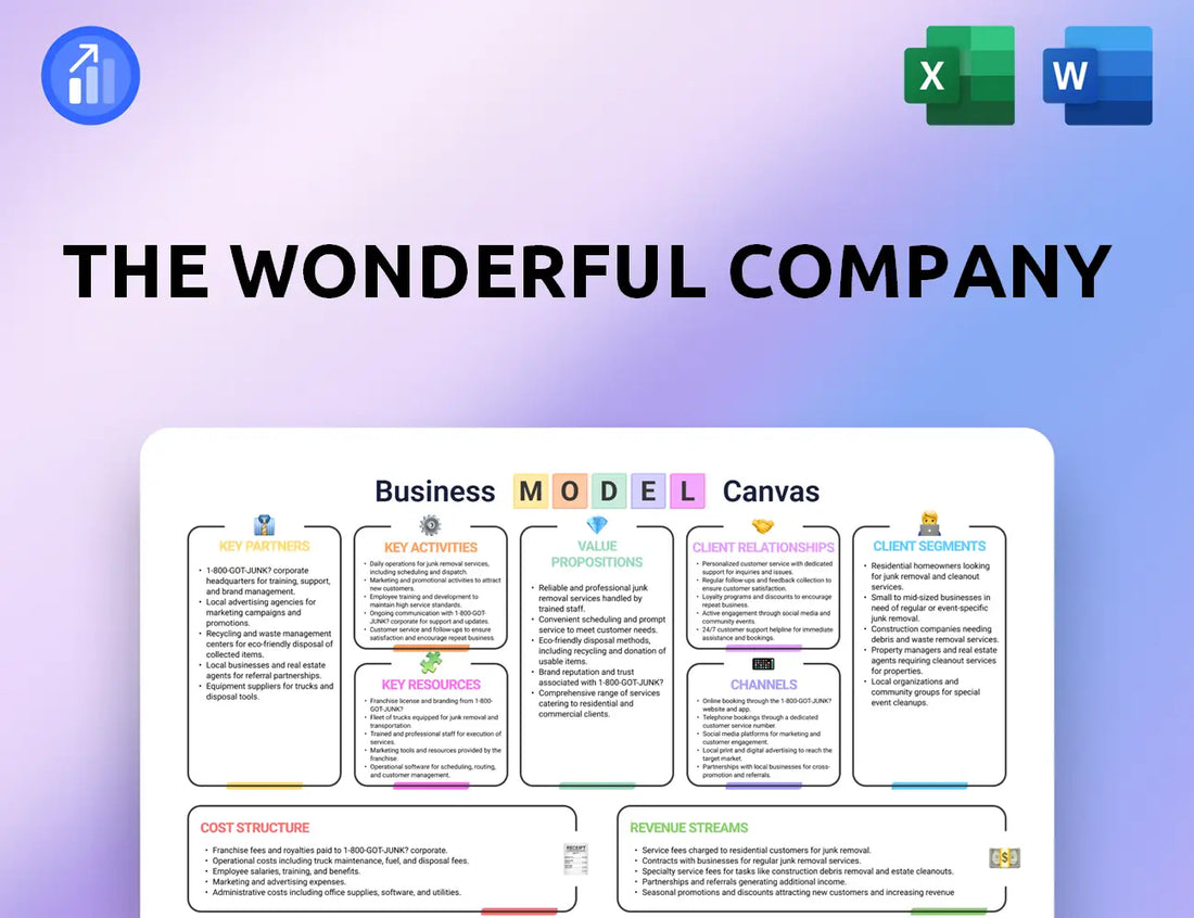 The Wonderful Company Business Model Canvas